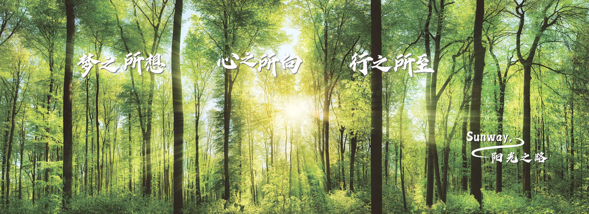幻灯片2